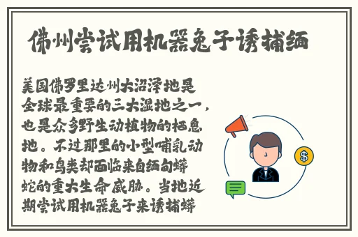 亚洲精产品一二三三三
